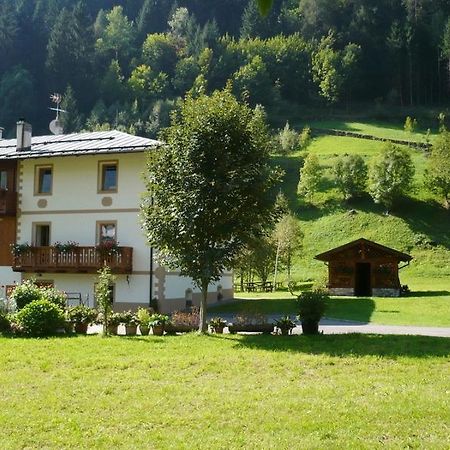 B&B Il Sorriso Dei Nonni Pracorno di Rabbi Exteriér fotografie